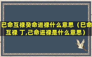 已命互禄癸命进禄什么意思（巳命互禄 丁,己命进禄是什么意思）